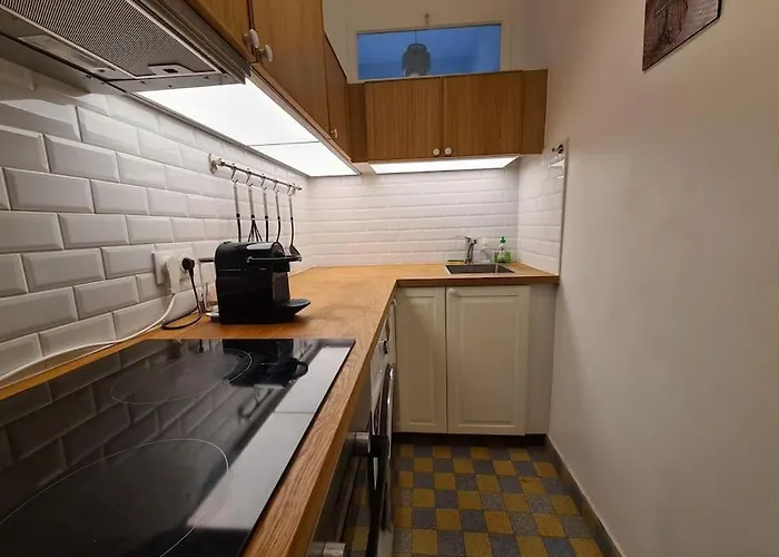 Apartamento La Cle De Laurent - 2 Pieces Haussmannien Versalhes